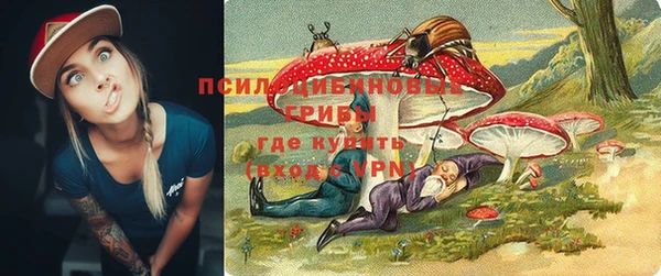 амф Алексин
