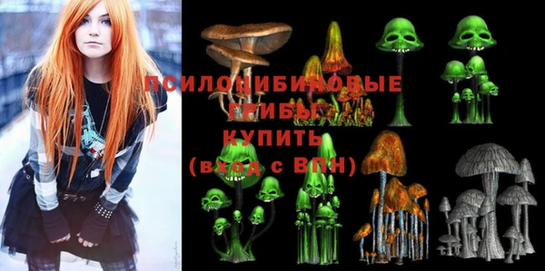 не бодяженный Алзамай