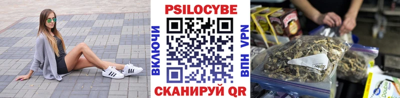 площадка Telegram  Ростов-на-Дону  Псилоцибиновые грибы Psilocybe  хочу наркоту 